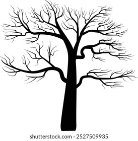 Silhouette Of Dry And Dead Tree Branches In Autumn