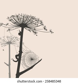 silhouette dry flowers with spider web, spider and snail