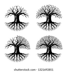 Silhouette of Dry and Green Tree Environment