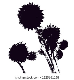 Silhouette. Dry mature autumn sunflower. Black on a white background. Isolated vector illustration. Isolated background. Plant in the field. Decorative sunflower. Icon. Logo