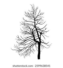 Silhouette of a Dry Pine Tree Against a White Background. Hand-drawn Vector Illustration, NOT AI-generated