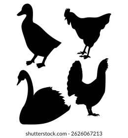 silhouette duck , silhouette of duck