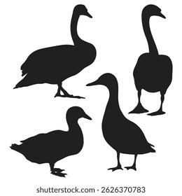silhouette duck , silhouette of duck