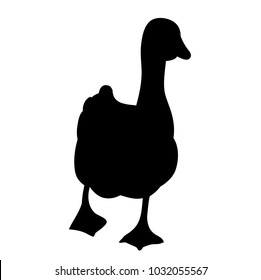 silhouette of a duck, goose