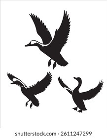 Silhouette of a Duck. Set of duck black silhouette.