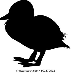 Silhouette of a duckling, standing - digitally hand drawn vector illustration