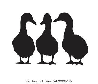Silhouette of ducks, flock of wild and domestic ducks, on a white background.