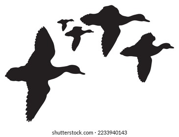 silueta de patos volando con alas abiertas ilustración vectorial. 