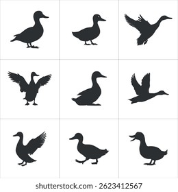 Silhouette Ducks vector. a collection of duck silhouettes in diverse poses, including
walking, standing, and flying. duck vector illustration