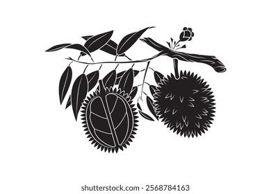 Silhouette of durian fruit with twig