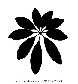 Silhouette of Dwarf umbrella tree Leaf or Schefflera arboricola isolated on white background. Vector illustration