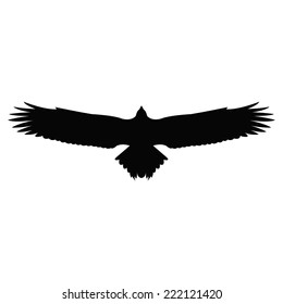 Silhouette of a eagle