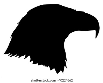 silhouette of eagle