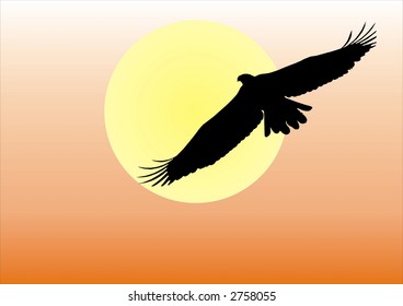 Silhouette of an eagle against the setting sun