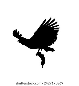 silhouette of an eagle clutching prey, white background 
