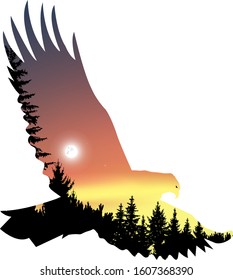 Silhouette of eagle with  coniferous trees  