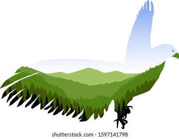 Silhouette of eagle with double exposure of green valley.
