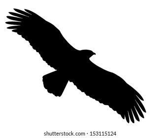 Silhouette of the Eagle in flight.