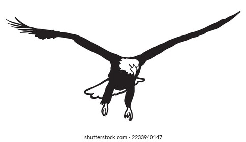 Silhouette of the eagle in flight with wings spread