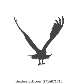Silueta de un águila volando sin fondo