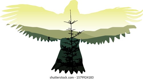 Silhouette of eagle  with green landscape