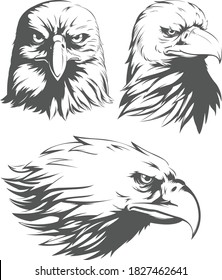 Silhouette Eagle Head Falcon Front Sideview Set Isolated Vector Logo Mascot Badge