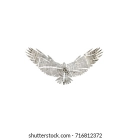 silhouette of a Eagle. Inside tree wood vector illustration