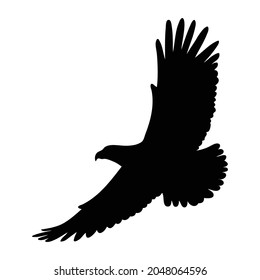 silhouette of a eagle isolated on white vector