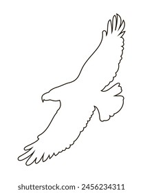 Silhouette of an eagle in an outline style. A flying bird. Vector illustration highlighted on a white background