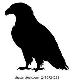 Silhouette eagle. Silhouettes of wild bird. Vector