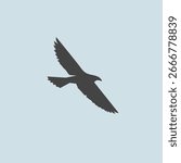 Silhouette of an eagle soaring high in the sky. Flying eagle silhouette on a clear background.