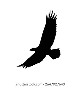 Silhouette of an eagle soaring with wings wide spread, symbolizing freedom and strength.