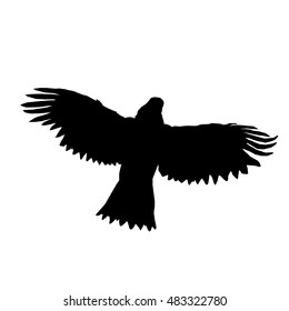 Silhouette of eagle soars.