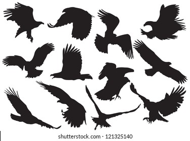 silhouette of an eagle vector