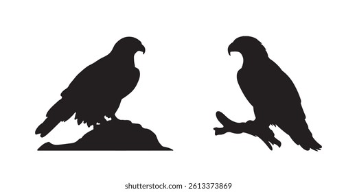 Silhouette of eagle vector icon set illustration isolated on white background.
