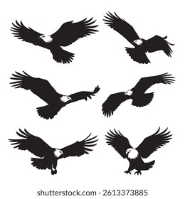 Silhouette of eagle vector icon set illustration isolated on white background.