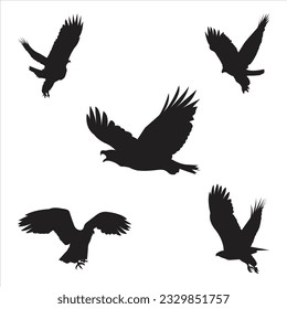 silhouette of an eagle vector illustration