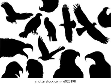 silhouette of eagles