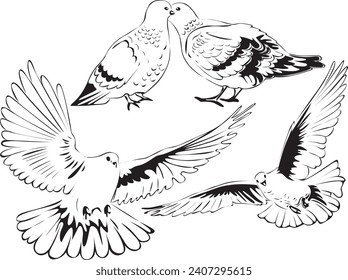 Silhouette of Eagles with any angle. Suitable for logo, sticker merchandise, etc. Freehand sketch illustration set dove doodle stock images. Dvoe vector icon. Flying dove isolated background drawing.