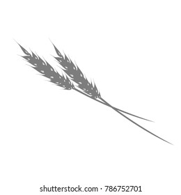 Silhouette of ear of rye or wheat on white background