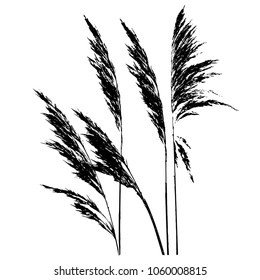 Silhouette. Ears. Grass. Isolated vector illustration. Black and white.