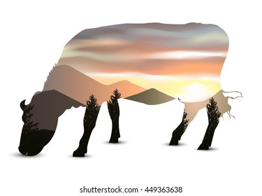 Silhouette of eating cow with mountain landscape. Sunset. Colorful tones.