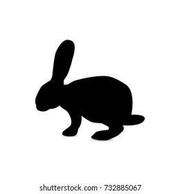 Silhouette of eating hare.