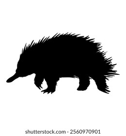 Silhouette of Echidna Single Fullbody Illustration. Side View