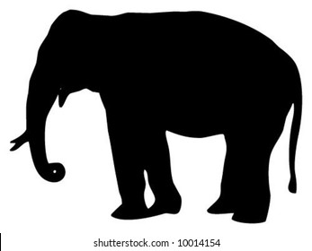 Silhouette of elephant