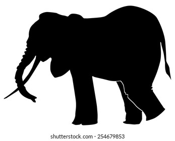 silhouette of elephant