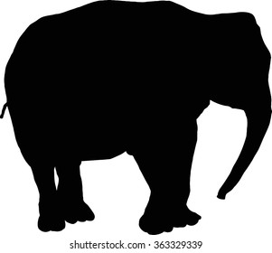 Silhouette of an elephant