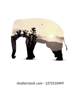  Silhouette of elephant with african savannah and pastel tones sky. Sunset.