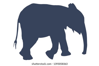 Silhouette of an elephant, 
baby elephant. African elephant. Vintage hand drawn vector illustration 
isolated on white background. Can be used for t-shirt print, kids wear fashion design