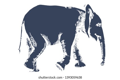 Silhouette of an elephant, 
baby elephant. African elephant. Vintage hand drawn vector illustration 
isolated on white background
